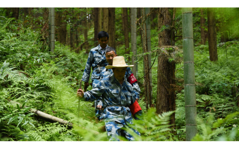 森林巡護巡檢管理系統